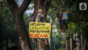 BERIMAN DENGAN HIJAU