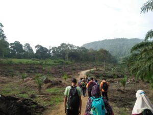 Merayakan Akal dan Organisasi